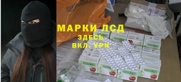 стафф Арсеньев