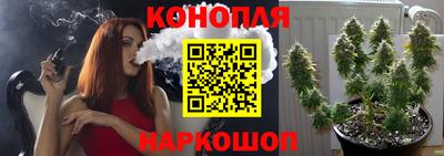 гашик Можайск
