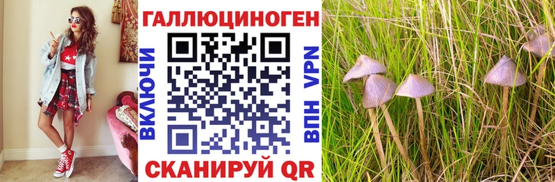 Галлюциногенные грибы мицелий Сибай