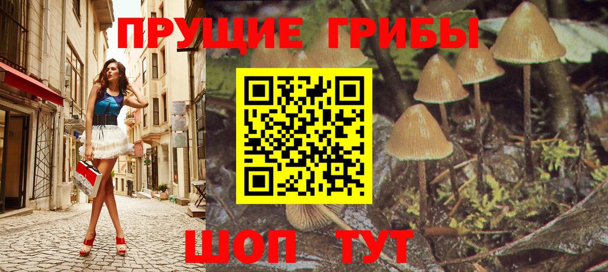 Псилоцибиновые грибы Psilocybe Сибай