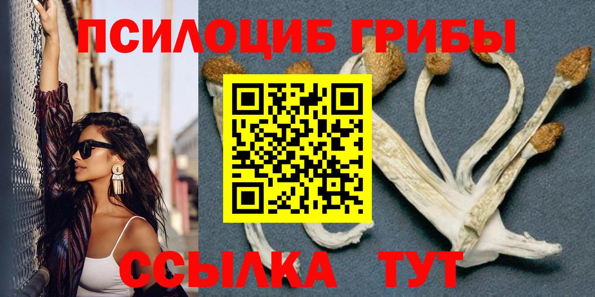 закладка  Вход с VPN  Сибай  Галлюциногенные грибы мицелий 